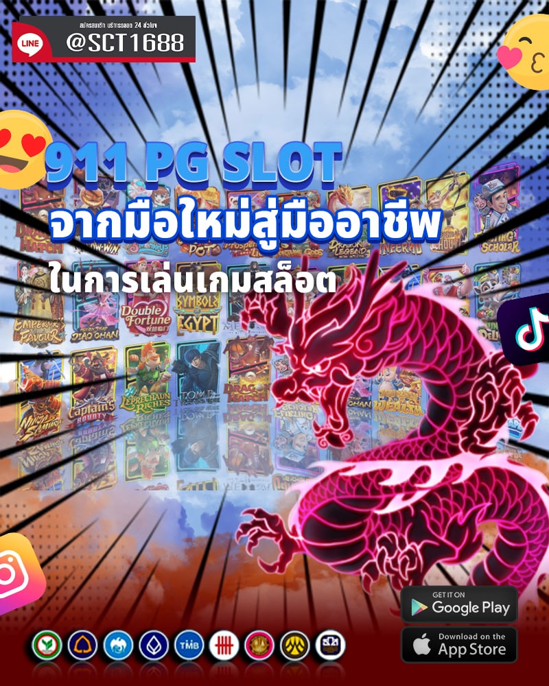 จากมือใหม่สู่มืออาชีพ